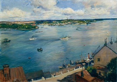 Stockholm af Josef Jungwirth
