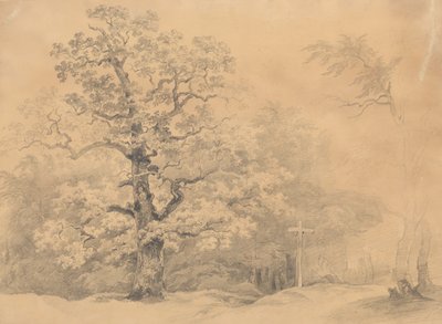 Træundersøgelse af Josef Kriehuber