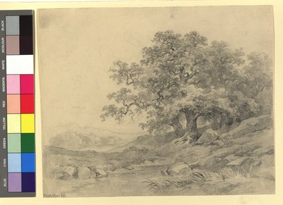 Landskabsstudie af Josef Kriehuber