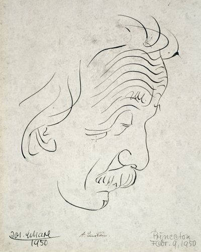 Albert Einstein af Josef Scharl