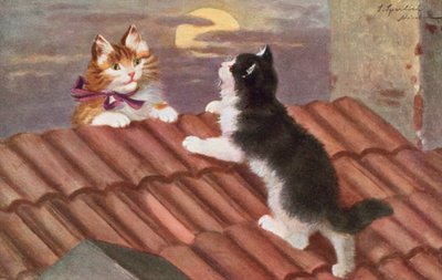 Postkort med kat (farvelitografi) af Josef Sperlich