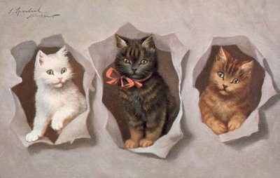Postkort med kat (farvelitografi) af Josef Sperlich