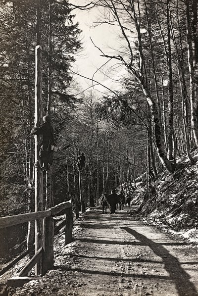 Album "Min verdenskrig - minder om den sydvestlige front i Kärnten, Italien, Trentino-Alto Adige) 31/03/1915-12/11/ 1918 - Josef Zohles Wien ": soldater på arbejde (s/h foto af Josef Zohles
