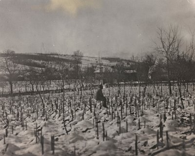 Album "Min verdenskrig - minder om den sydvestlige front i Kärnten, Italien, Trentino-Alto Adige) 31/03/1915-12/11/ 1918 - Josef Zohles Vienna ": militærkirkegård (s/h foto) af Josef Zohles