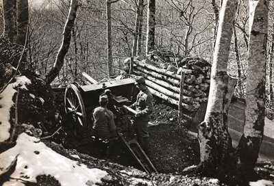 Album "Min verdenskrig - minder om den sydvestlige front i Kärnten, Italien, Trentino-Alto Adige) 31/03/1915-12/11/ 1918 - Josef Zohles Vienna ": Soldater med kanon (s/h p) af Josef Zohles
