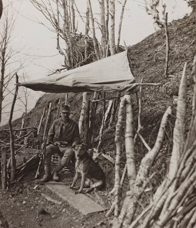 Album "Min verdenskrig - minder om den sydvestlige front i Kärnten, Italien, Trentino-Alto Adige) 31/03/1915-12/11/ 1918 - Josef Zohles Vienna ": militærhund under et telt ( af Josef Zohles