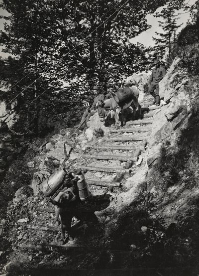 Album "Min verdenskrig - minder om den sydvestlige front i Kärnten, Italien, Trentino-Alto Adige) 31/03/1915-12/11/ 1918 - Josef Zohles Wien ": Hærens muldyr langs en stejl af af Josef Zohles