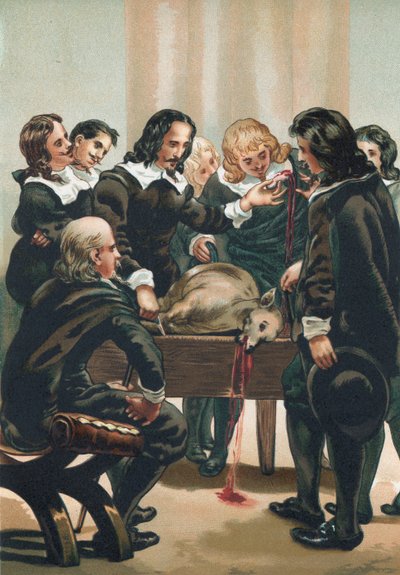 William Harvey demonstrerer blodets cirkulation af Josep or Jose Planella Coromina