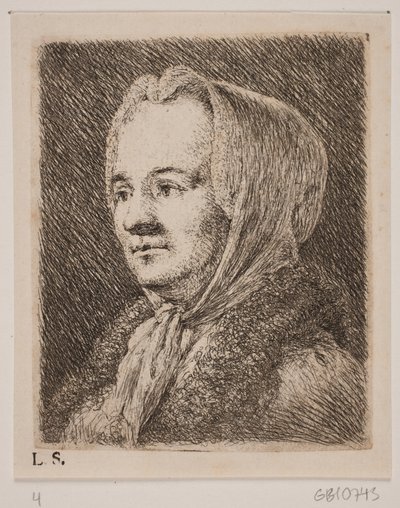 Brystbillede af en midaldrende Kvinde af Joseph Brecheisen