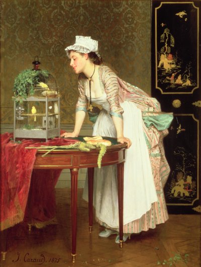 De Gule Kanariske Øer af Joseph Caraud