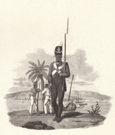 En menig fra det 5. vestindiske regiment, c1812 1909 af Joseph Constantine Stadler