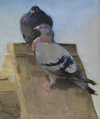 Duer på taget (gouache på linned) af Joseph Crawhall