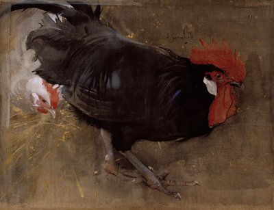 Den sorte hane (gouache på linned) af Joseph Crawhall