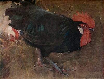 Den sorte hane, c1894 af Joseph Crawhall