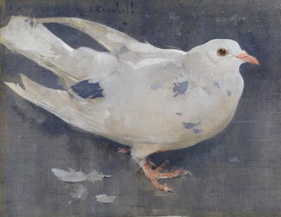 Duen (gouache på linned) af Joseph Crawhall