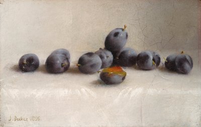 Tolv blommer af Joseph Decker