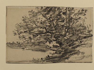 Study of Trees, 1870 (grafit på papir) af Joseph Frank Currier