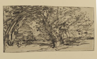 Study of Trees, 1870 (grafit på papir) af Joseph Frank Currier