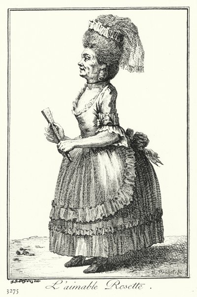 Den dejlige roset (gravering) af Joseph Franz von (after) Goez