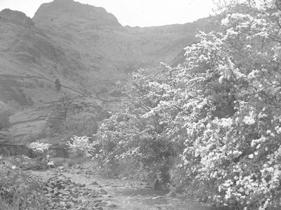 Flod med blomstrende træer langs bredden og Langdale Pike i baggrunden af Joseph Hardman