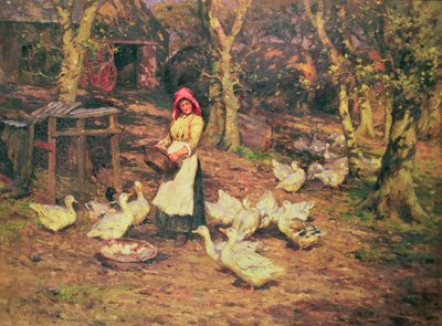 At fodre ænderne af Joseph Harold Swanwick