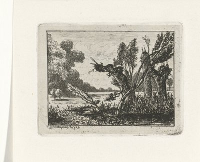 polard piletræer af Joseph Hartogensis