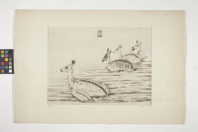Cerfs Indochinois I (Indokinesisk hjort I) (gravering på cremevævet papir) af Joseph Hecht