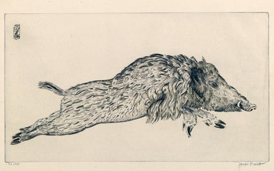 Vildsvin (Le Sanglier) (gravering) af Joseph Hecht