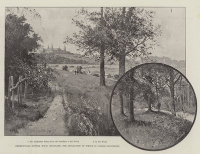Kirkegården Bottom Wood, Highgate, hvis ødelæggelse er til diskussion af Joseph Holland Tringham