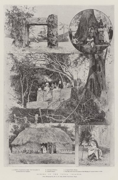 Scener på Tonga-øerne af Joseph Holland Tringham