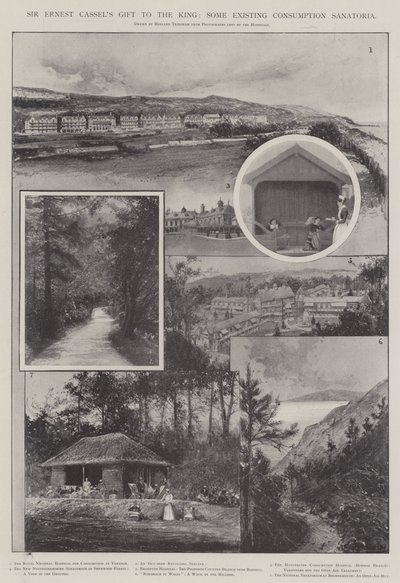 Sir Ernest Cassels gave til kongen, nogle eksisterende forbrugssanatorier af Joseph Holland Tringham