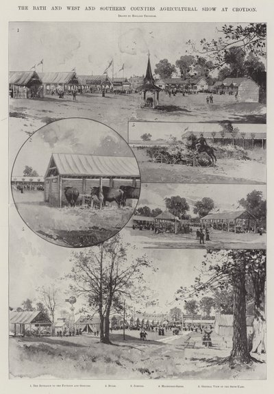 The Bath and the West and Southern Counties Agricultural Show i Croydon af Joseph Holland Tringham