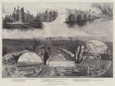 The Mos Slide i Irland af Joseph Holland Tringham