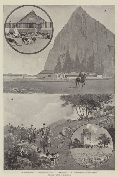 Calpe-jagten i Gibraltar af Joseph Holland Tringham