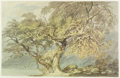 Et stort træ, ca. 1796 (wc over grafit på papir) af Joseph Mallord William Turner