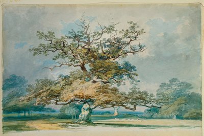 Et landskab med et gammelt egetræ af Joseph Mallord William Turner