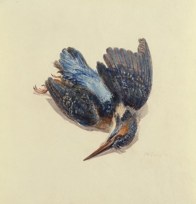 Kingfisher, fra The Farnley Book of Birds, ca. 1816 (pen & blæk og akvarel på papir) af Joseph Mallord William Turner