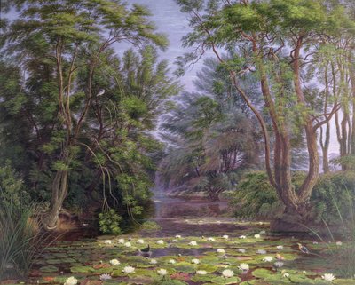 River Cherwell Waterlilies, 1851 af Joseph Mallord William Turner