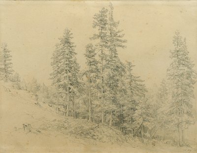 Ædle tand af Joseph Martin Höger