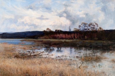 Tay Backwater, Kinfauns, Perthshire af Joseph Milne