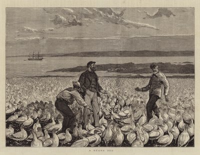 En Guano seng af Joseph Nash
