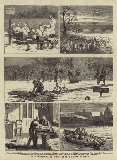 Hundredårsdagen for Royal Humane Society af Joseph Nash