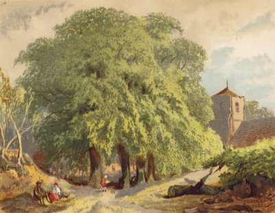 Landsbybillede, limefrugter (farvelitografi) af Joseph Needham