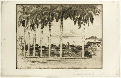 Bishops Walk, Ancon Hill, Panama af Joseph Pennell