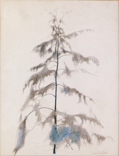Fyrretræ af Joseph Stella