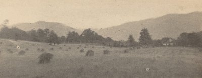 Landskab med træer og bjerge,ca. 1900 (foto) af Joseph T. Keiley