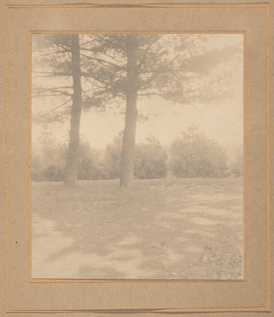 Landskab med træer,ca. 1900 (foto) af Joseph T. Keiley