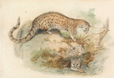 ryttere af Joseph Wolf