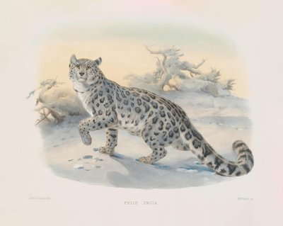  af Joseph Wolf