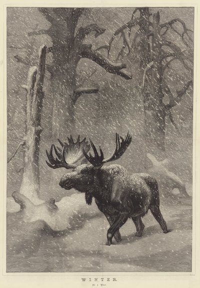 Vinter af Joseph Wolf